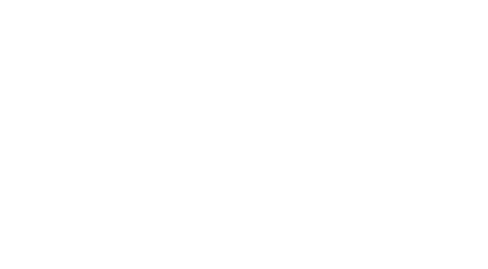 Starconnect Logo weiß lang